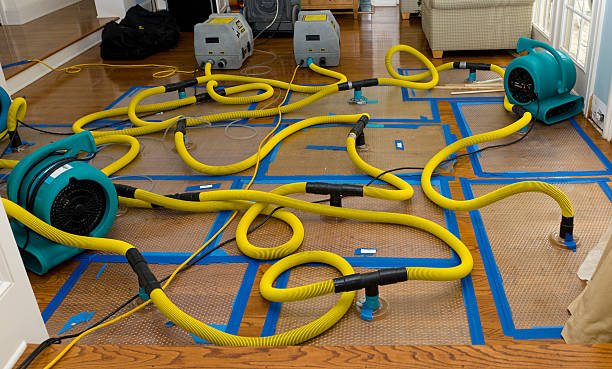 Professional Sewage Cleanup technician working in Dearborn, MO